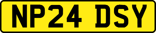 NP24DSY