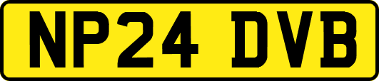 NP24DVB