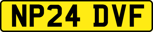 NP24DVF