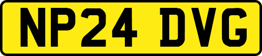 NP24DVG