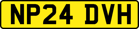 NP24DVH