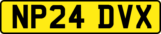 NP24DVX