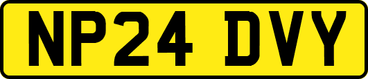 NP24DVY