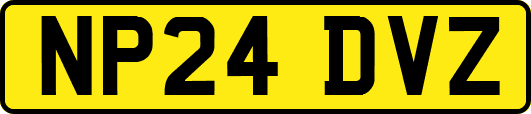 NP24DVZ