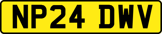 NP24DWV