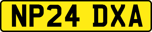 NP24DXA