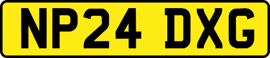 NP24DXG