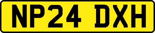 NP24DXH