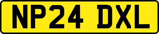 NP24DXL