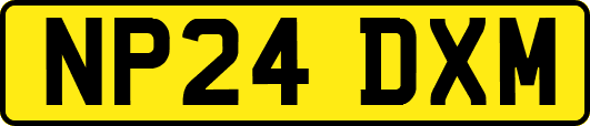 NP24DXM