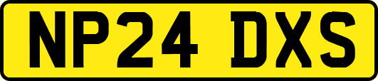 NP24DXS