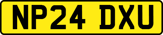NP24DXU
