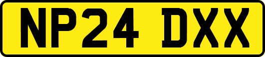 NP24DXX