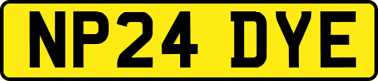 NP24DYE
