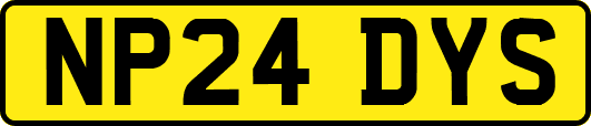NP24DYS