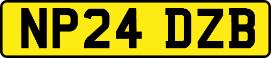 NP24DZB