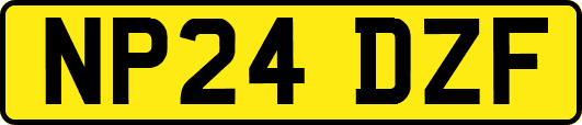 NP24DZF