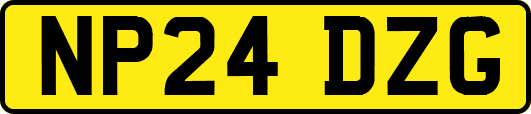 NP24DZG