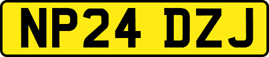 NP24DZJ