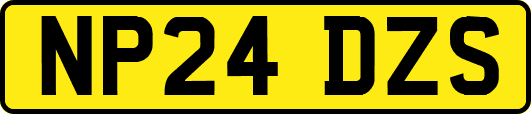 NP24DZS