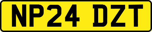 NP24DZT