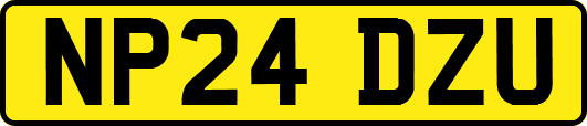 NP24DZU