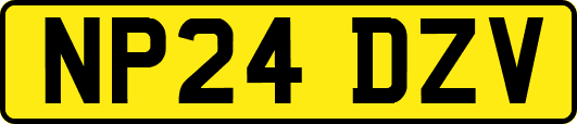 NP24DZV