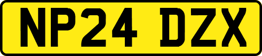 NP24DZX