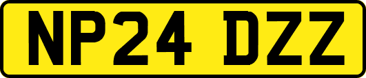 NP24DZZ