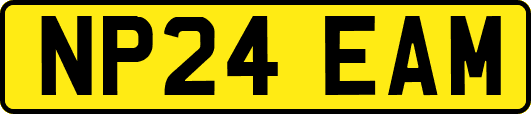 NP24EAM