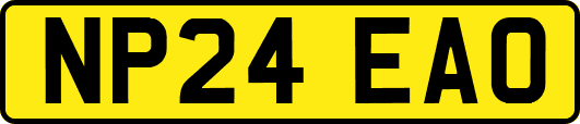 NP24EAO