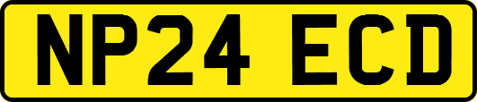 NP24ECD