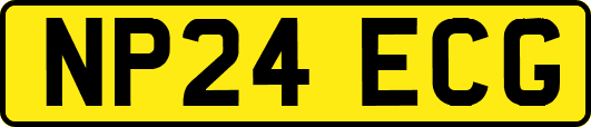 NP24ECG