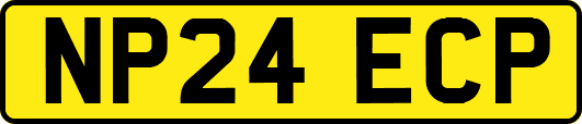 NP24ECP