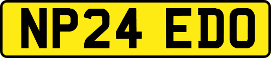 NP24EDO