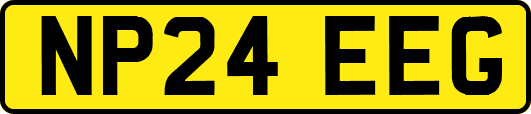 NP24EEG