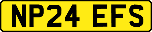 NP24EFS