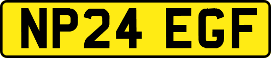 NP24EGF