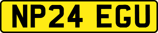 NP24EGU