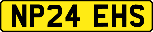 NP24EHS