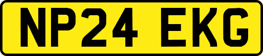 NP24EKG