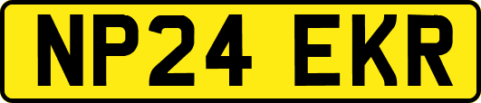 NP24EKR