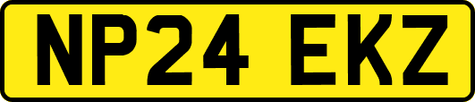NP24EKZ