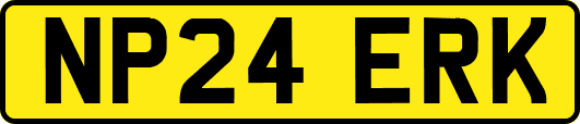 NP24ERK
