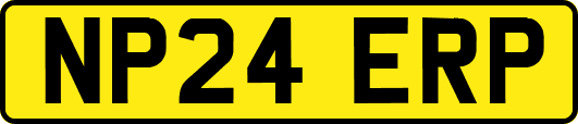 NP24ERP