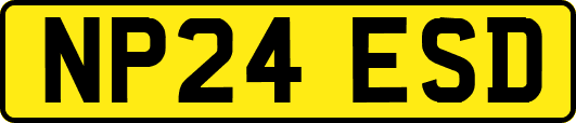 NP24ESD