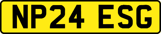 NP24ESG