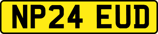 NP24EUD