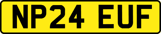 NP24EUF