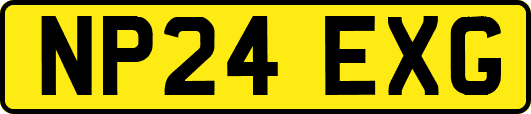 NP24EXG